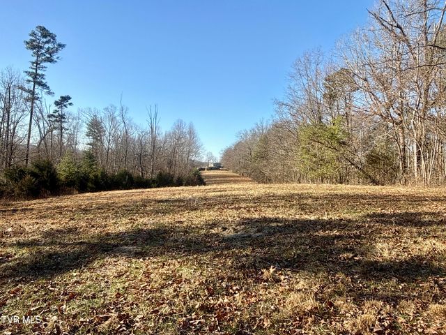 6181 Poplar Springs Road, Greeneville, TN 37743