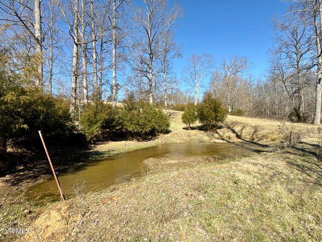 6181 Poplar Springs Road, Greeneville, TN 37743