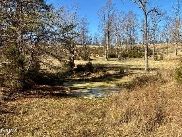 6181 Poplar Springs Road, Greeneville, TN 37743