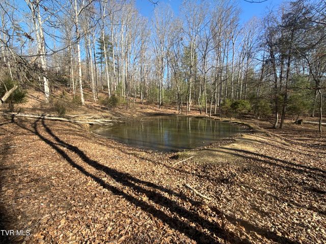 6181 Poplar Springs Road, Greeneville, TN 37743