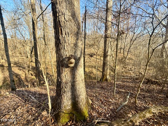 6181 Poplar Springs Road, Greeneville, TN 37743