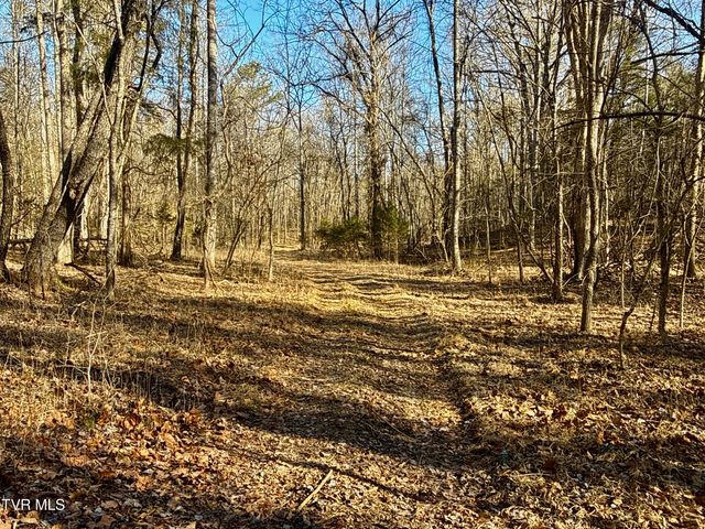 6181 Poplar Springs Road, Greeneville, TN 37743