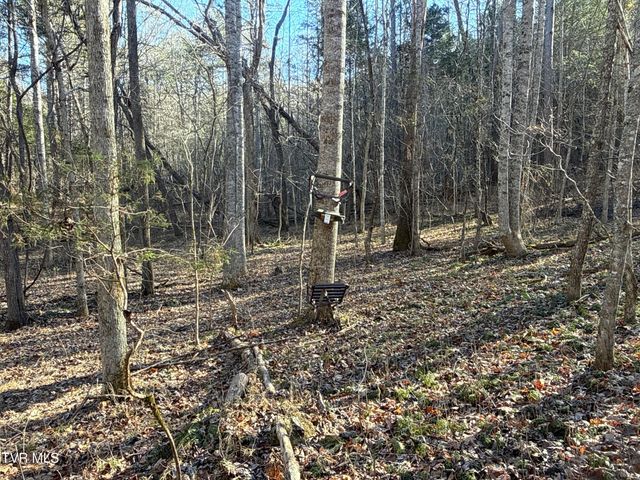 6181 Poplar Springs Road, Greeneville, TN 37743