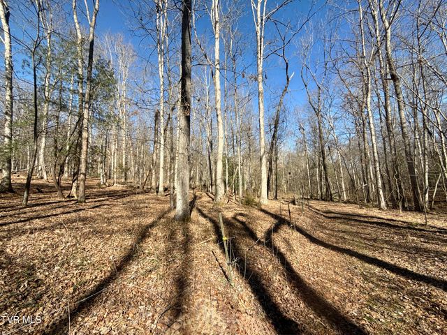 6181 Poplar Springs Road, Greeneville, TN 37743