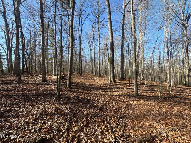 6181 Poplar Springs Road, Greeneville, TN 37743