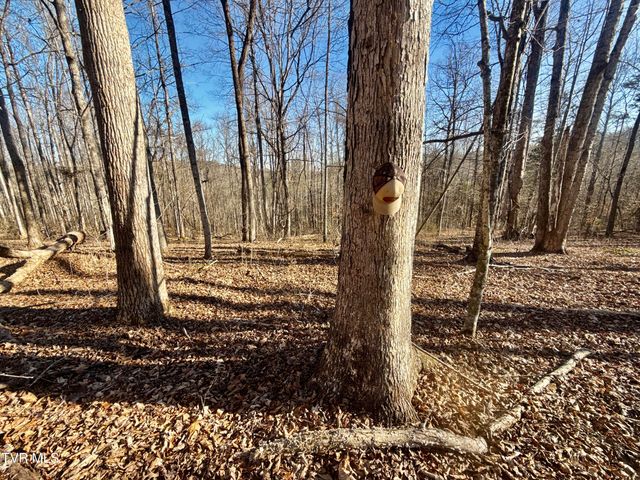 6181 Poplar Springs Road, Greeneville, TN 37743