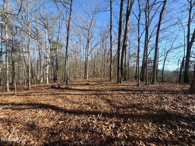 6181 Poplar Springs Road, Greeneville, TN 37743