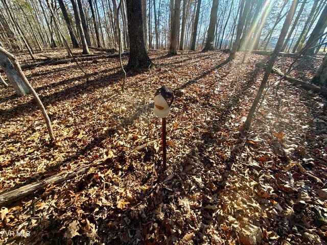 6181 Poplar Springs Road, Greeneville, TN 37743