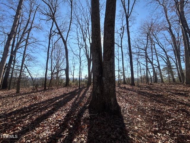 6181 Poplar Springs Road, Greeneville, TN 37743