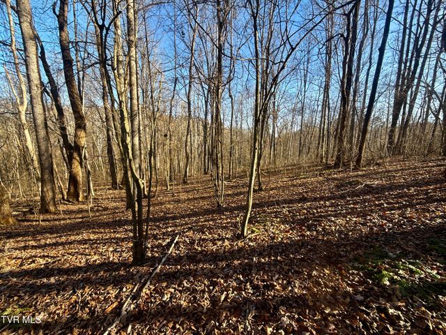 6181 Poplar Springs Road, Greeneville, TN 37743