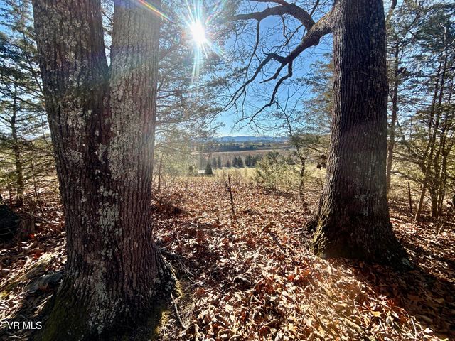 6181 Poplar Springs Road, Greeneville, TN 37743