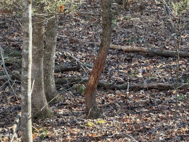 6181 Poplar Springs Road, Greeneville, TN 37743