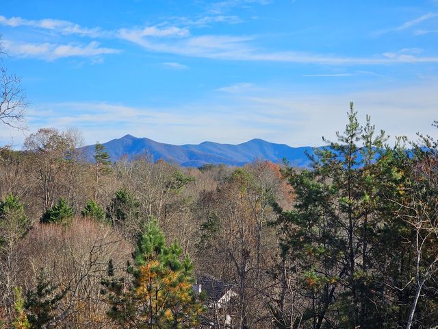 2567 Todd Shook Road, Young Harris, GA 30582