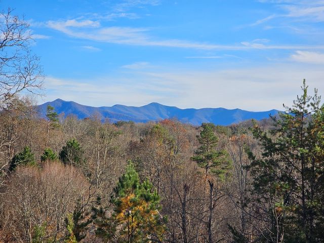 2567 Todd Shook Road, Young Harris, GA 30582