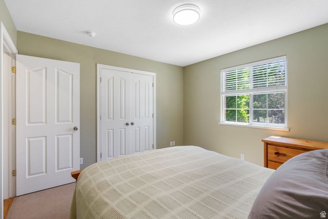 313 E GOLDEN PHEASANT DR, Draper, UT 84020