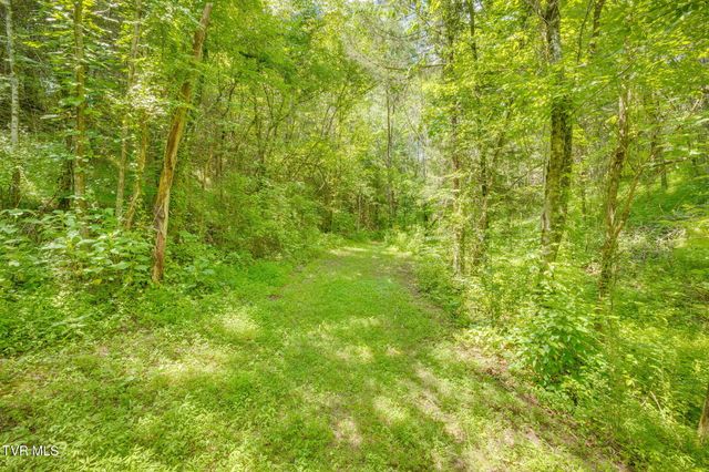1355 Jackson Hollow Road, Mosheim, TN 37818