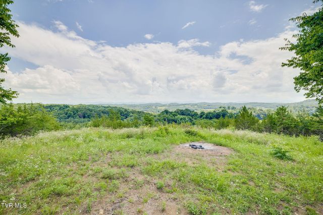 1355 Jackson Hollow Road, Mosheim, TN 37818