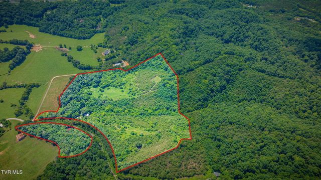 1355 Jackson Hollow Road, Mosheim, TN 37818