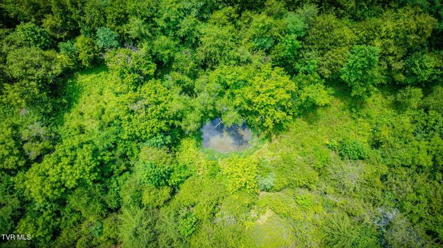 1355 Jackson Hollow Road, Mosheim, TN 37818