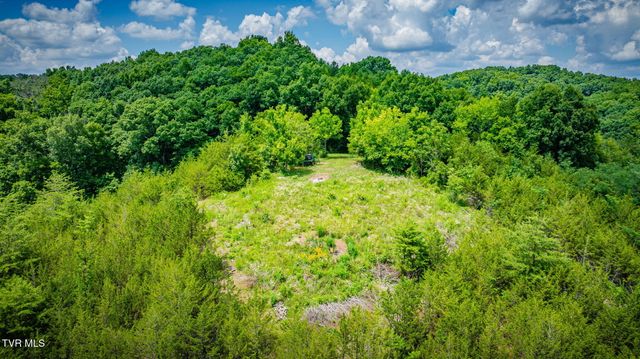 1355 Jackson Hollow Road, Mosheim, TN 37818