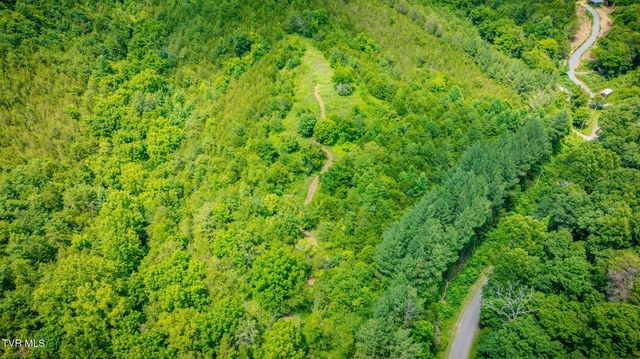 1355 Jackson Hollow Road, Mosheim, TN 37818