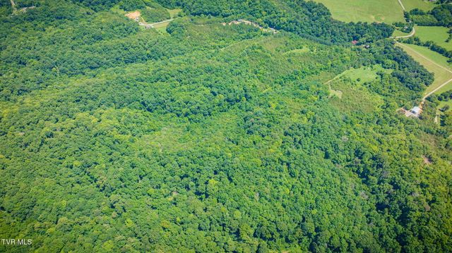 1355 Jackson Hollow Road, Mosheim, TN 37818