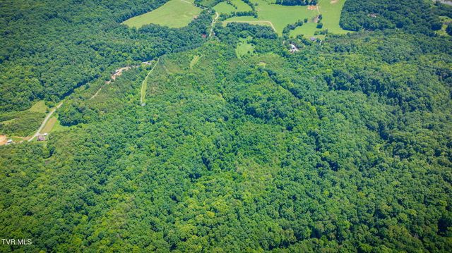 1355 Jackson Hollow Road, Mosheim, TN 37818