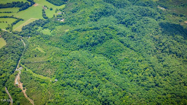 1355 Jackson Hollow Road, Mosheim, TN 37818