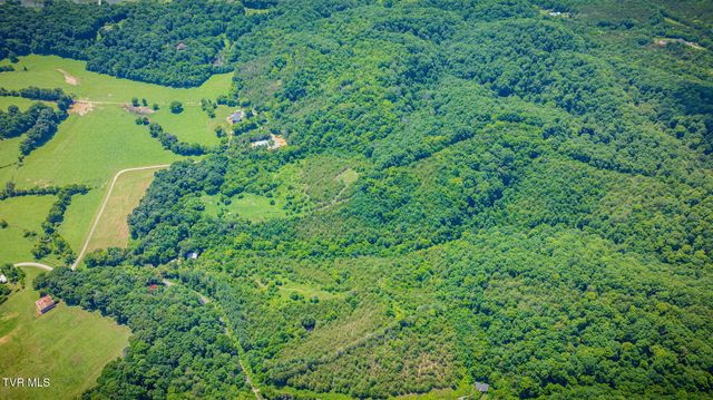 1355 Jackson Hollow Road, Mosheim, TN 37818