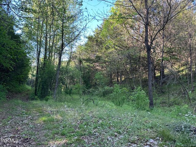 1355 Jackson Hollow Road, Mosheim, TN 37818