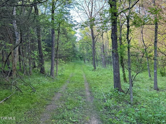 1355 Jackson Hollow Road, Mosheim, TN 37818