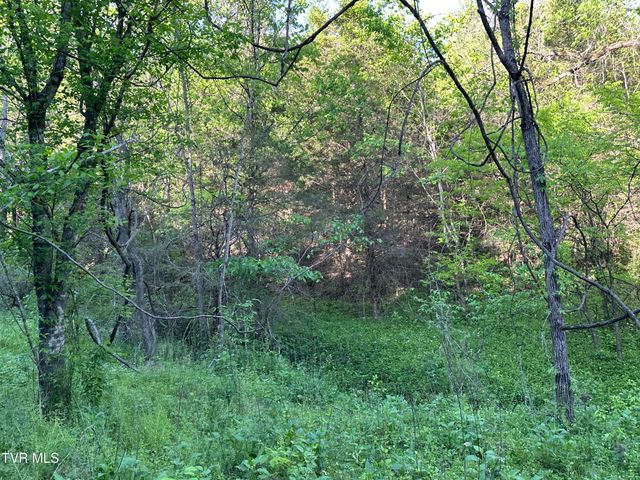1355 Jackson Hollow Road, Mosheim, TN 37818