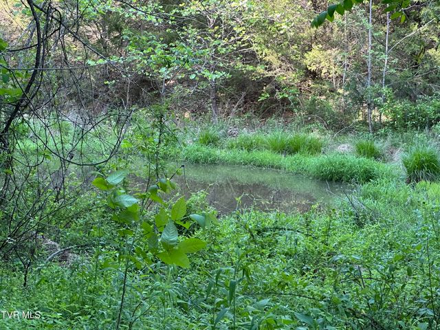 1355 Jackson Hollow Road, Mosheim, TN 37818