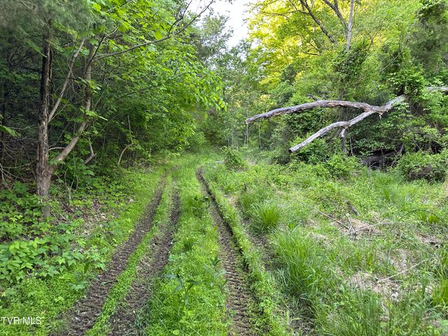 1355 Jackson Hollow Road, Mosheim, TN 37818