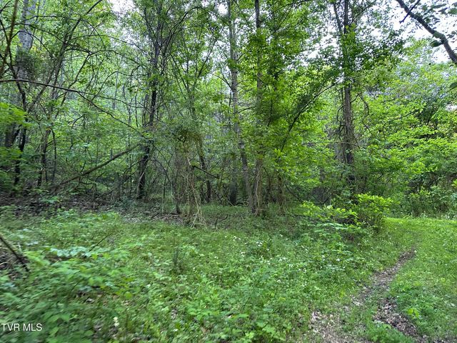 1355 Jackson Hollow Road, Mosheim, TN 37818