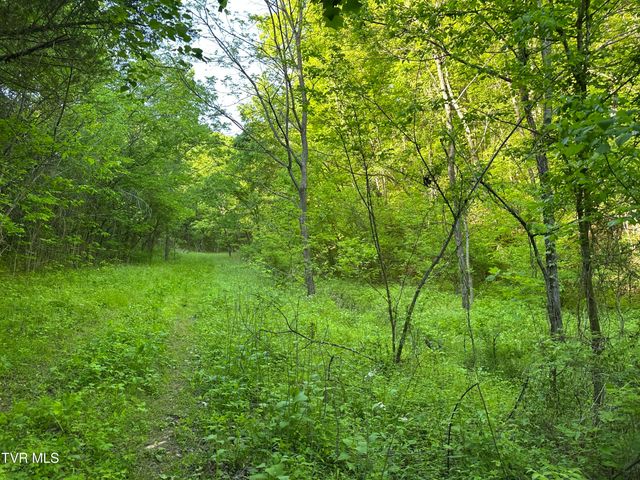 1355 Jackson Hollow Road, Mosheim, TN 37818