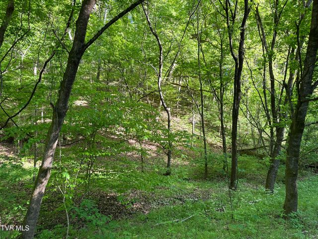 1355 Jackson Hollow Road, Mosheim, TN 37818