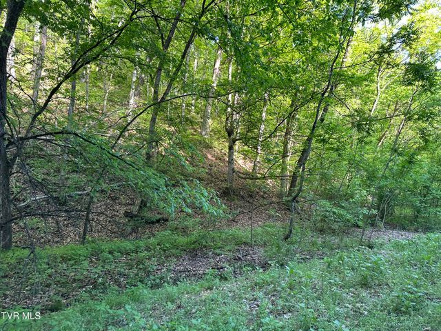 1355 Jackson Hollow Road, Mosheim, TN 37818