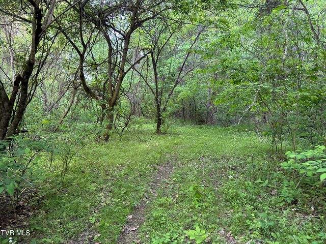 1355 Jackson Hollow Road, Mosheim, TN 37818