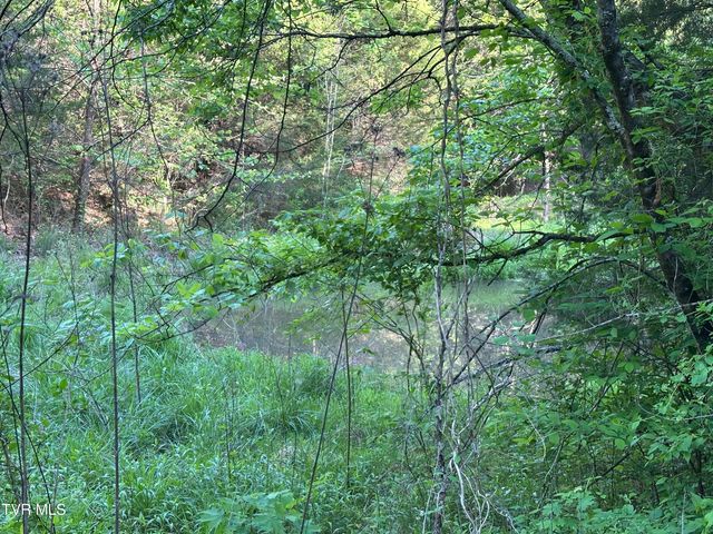 1355 Jackson Hollow Road, Mosheim, TN 37818