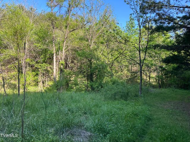 1355 Jackson Hollow Road, Mosheim, TN 37818