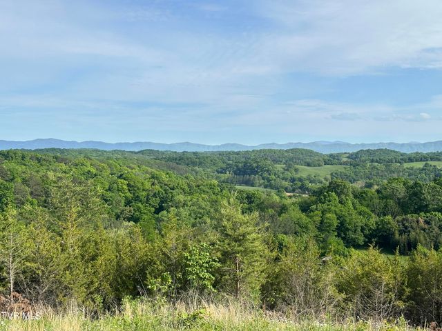 1355 Jackson Hollow Road, Mosheim, TN 37818