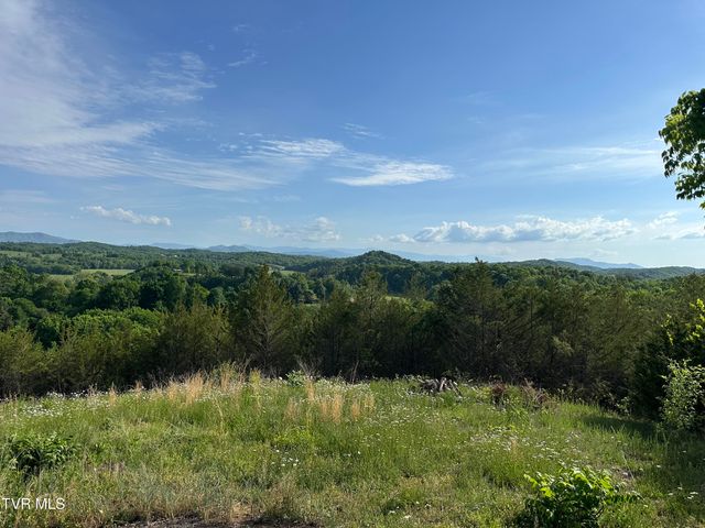 1355 Jackson Hollow Road, Mosheim, TN 37818