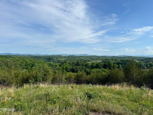 1355 Jackson Hollow Road, Mosheim, TN 37818