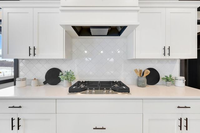 1105 136th Street E, Rosemount, MN 55068