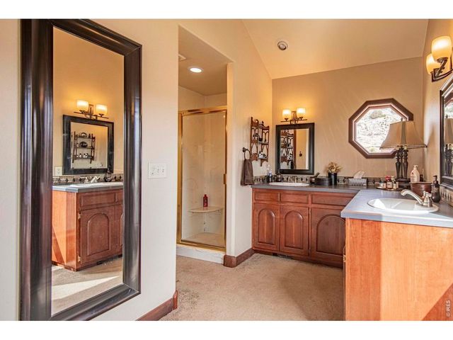90 Mount Axtell Dr, Livermore, CO 80536