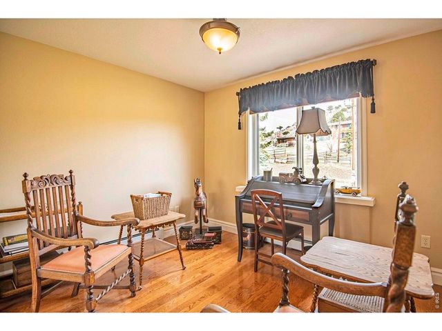 90 Mount Axtell Dr, Livermore, CO 80536