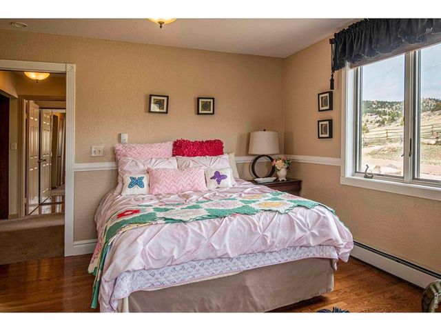 90 Mount Axtell Dr, Livermore, CO 80536