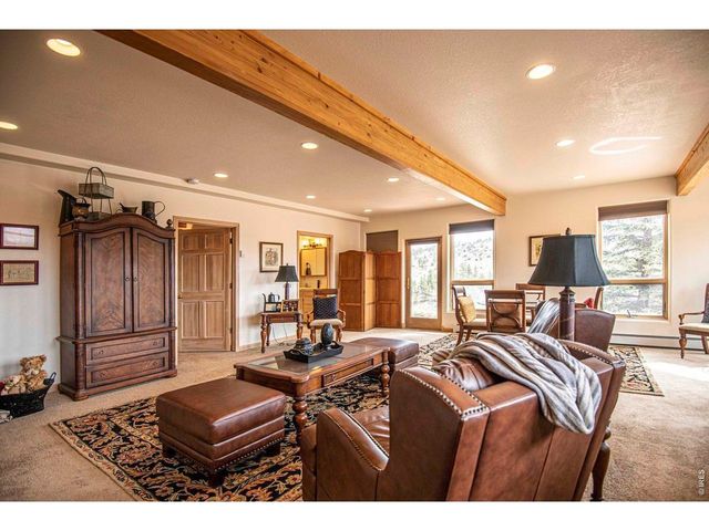 90 Mount Axtell Dr, Livermore, CO 80536