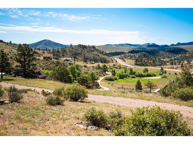 90 Mount Axtell Dr, Livermore, CO 80536